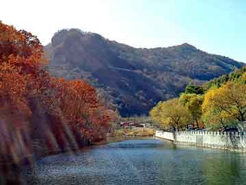 管家婆免费正版资起大全，站群模板